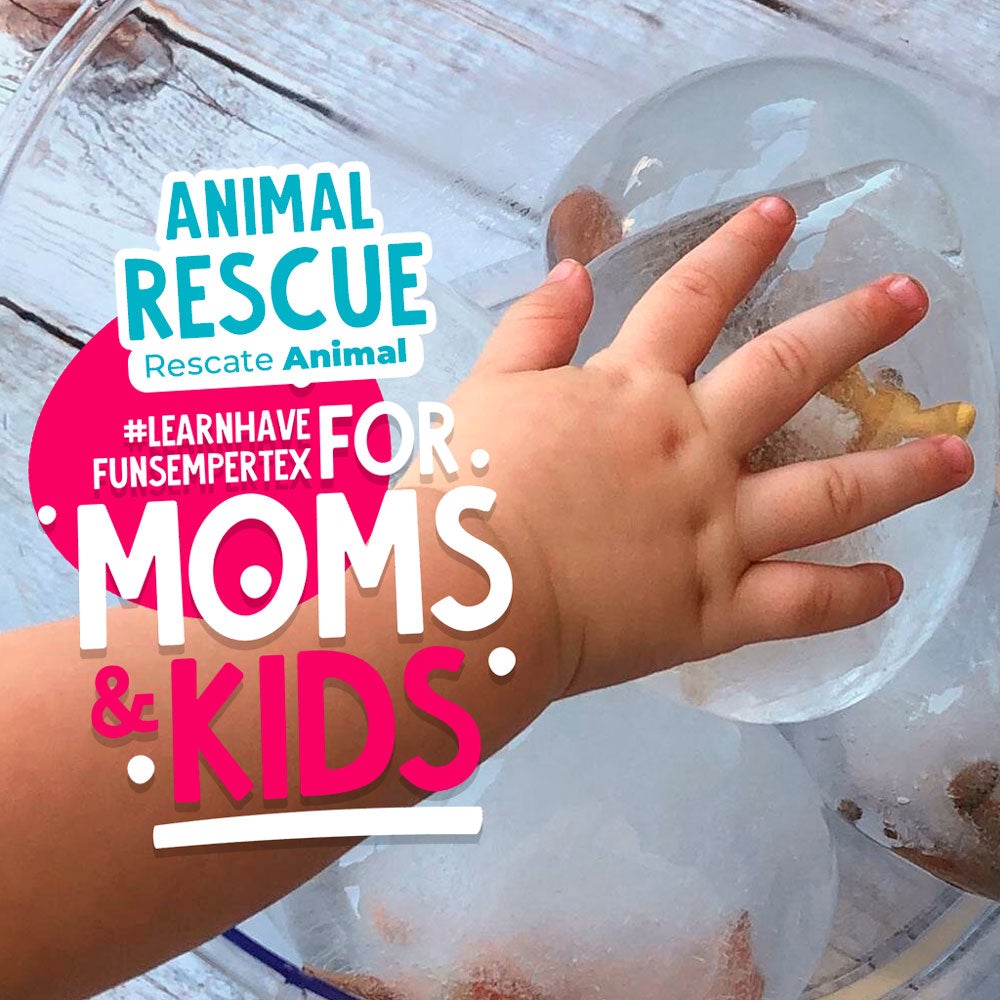 RESCATE ANIMAL